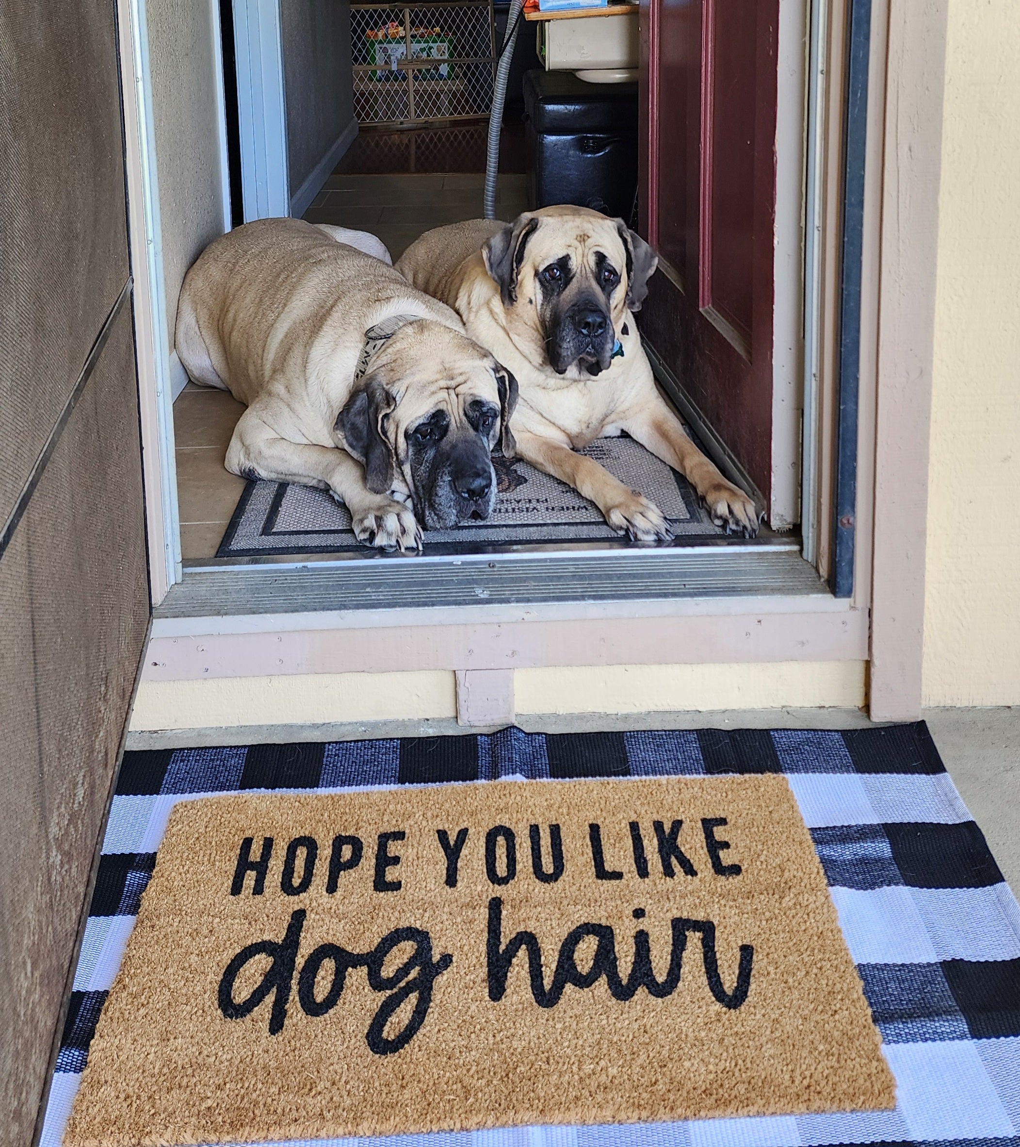 I hope you like dog hair doormat best sale